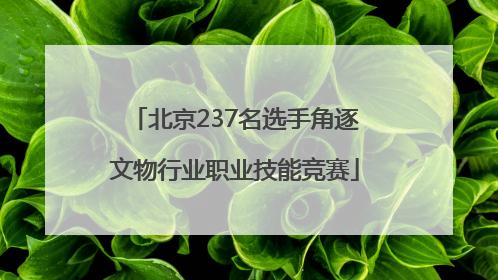 北京237名选手角逐文物行业职业技能竞赛