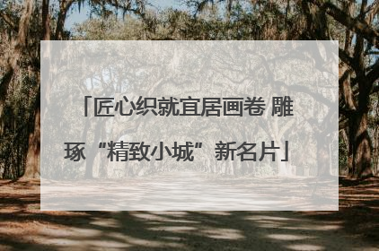 匠心织就宜居画卷 雕琢“精致小城”新名片