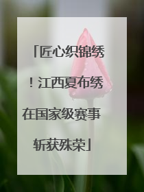 匠心织锦绣！江西夏布绣在国家级赛事斩获殊荣