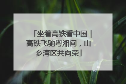 坐着高铁看中国｜高铁飞驰粤湘间，山乡湾区共向荣