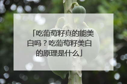吃葡萄籽真的能美白吗？吃葡萄籽美白的原理是什么