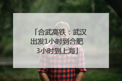 合武高铁：武汉出发1小时到合肥3小时到上海