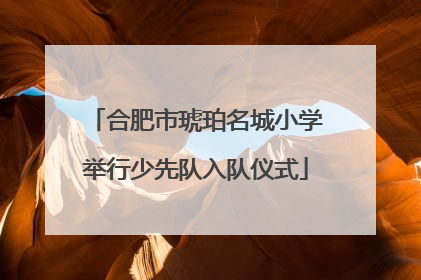 合肥市琥珀名城小学举行少先队入队仪式