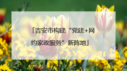 吉安市构建“党建+网约家政服务”新阵地
