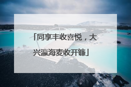 同享丰收喜悦，大兴瀛海麦收开镰