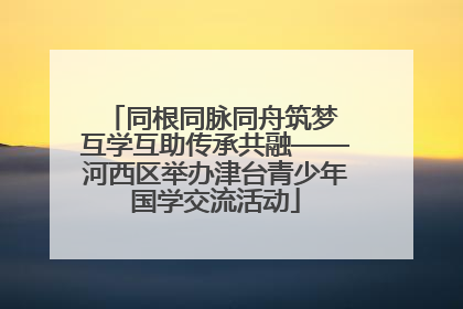 同根同脉同舟筑梦 互学互助传承共融——河西区举办津台青少年国学交流活动