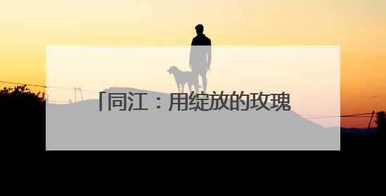 同江：用绽放的玫瑰 推动乡村经济振兴