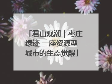 君山观潮｜枣庄绿迹 一座资源型城市的生态觉醒