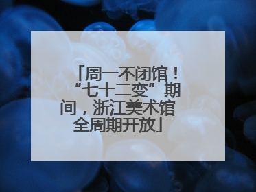 周一不闭馆！“七十二变”期间，浙江美术馆全周期开放