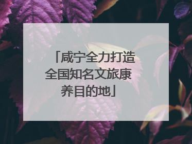 咸宁全力打造全国知名文旅康养目的地