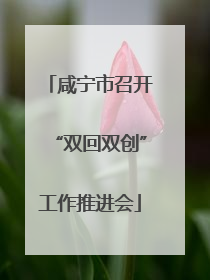 咸宁市召开“双回双创”工作推进会