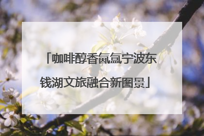 咖啡醇香氤氲宁波东钱湖文旅融合新图景