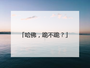 哈佛，跪不跪？