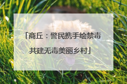 商丘：警民携手绘禁毒 共建无毒美丽乡村