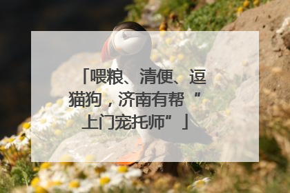 喂粮、清便、逗猫狗，济南有帮“上门宠托师”