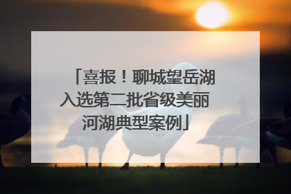 喜报！聊城望岳湖入选第二批省级美丽河湖典型案例