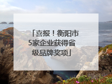 喜报！衡阳市5家企业获得省级品牌奖项
