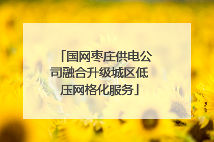 国网枣庄供电公司融合升级城区低压网格化服务