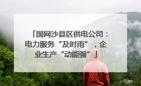 国网沙县区供电公司：电力服务“及时雨”，企业生产“动能强”