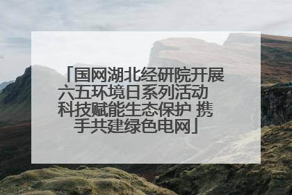 国网湖北经研院开展六五环境日系列活动 科技赋能生态保护 携手共建绿色电网