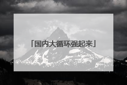 国内大循环强起来
