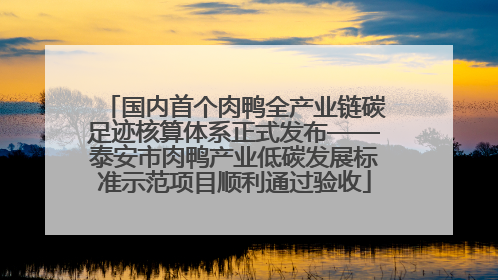 国内首个肉鸭全产业链碳足迹核算体系正式发布——泰安市肉鸭产业低碳发展标准示范项目顺利通过验收