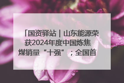 国资驿站｜山东能源荣获2024年度中国炼焦煤销量“十强”；全国首例铁路盖上智慧物流园钢结构主体完工
