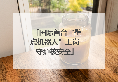 国际首台“壁虎机器人”上岗守护核安全