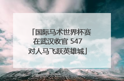 国际马术世界杯赛在武汉收官 547对人马飞跃英雄城