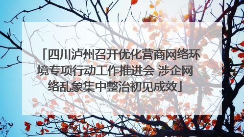 四川泸州召开优化营商网络环境专项行动工作推进会 涉企网络乱象集中整治初见成效