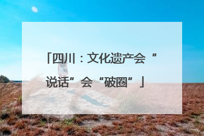 四川：文化遗产会“说话”会“破圈”