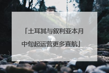 土耳其与叙利亚本月中旬起运营更多直航