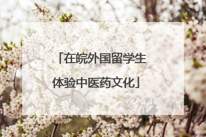 在皖外国留学生体验中医药文化