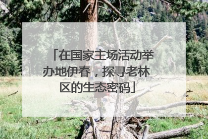 在国家主场活动举办地伊春，探寻老林区的生态密码