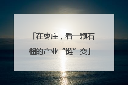 在枣庄，看一颗石榴的产业“链”变