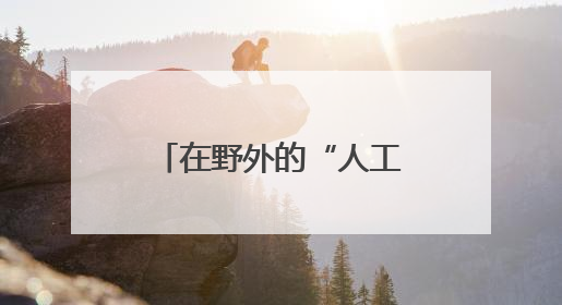 在野外的“人工产房”上，这些“鸟类大熊猫”在武汉生宝宝了