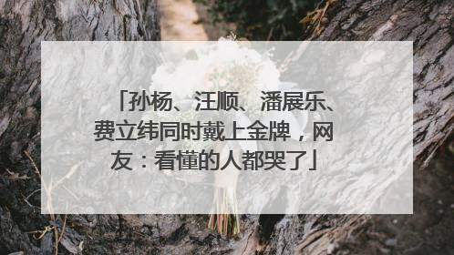 孙杨、汪顺、潘展乐、费立纬同时戴上金牌，网友：看懂的人都哭了