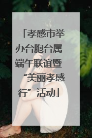孝感市举办台胞台属端午联谊暨“美丽孝感行”活动