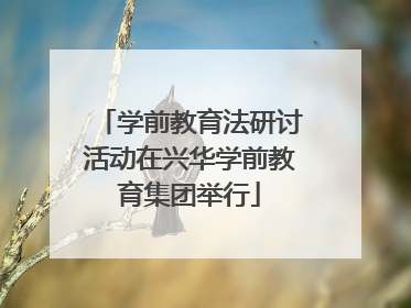 学前教育法研讨活动在兴华学前教育集团举行