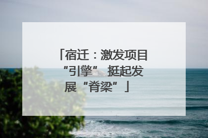 宿迁：激发项目“引擎” 挺起发展“脊梁”