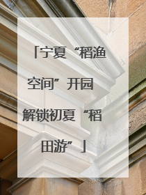 宁夏“稻渔空间”开园 解锁初夏“稻田游”
