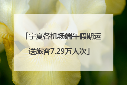 宁夏各机场端午假期运送旅客7.29万人次