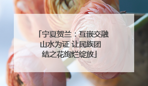 宁夏贺兰：互嵌交融 山水为证 让民族团结之花绚烂绽放