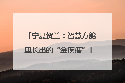 宁夏贺兰：智慧方舱里长出的“金疙瘩”