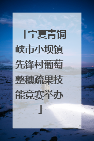 宁夏青铜峡市小坝镇先锋村葡萄整穗疏果技能竞赛举办