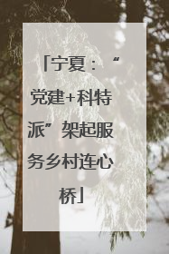 宁夏：“党建+科特派”架起服务乡村连心桥