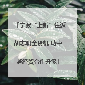 宁波“上新”往返胡志明全货机 助中越经贸合作升级