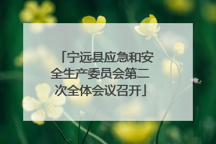 宁远县应急和安全生产委员会第二次全体会议召开