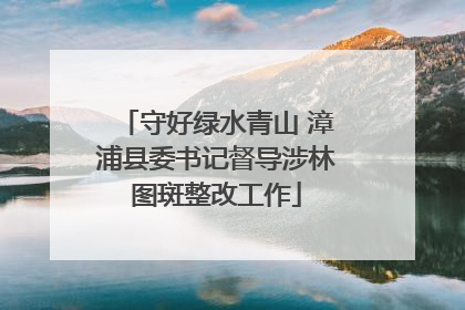 守好绿水青山 漳浦县委书记督导涉林图斑整改工作