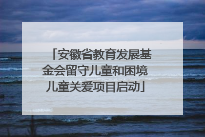 安徽省教育发展基金会留守儿童和困境儿童关爱项目启动